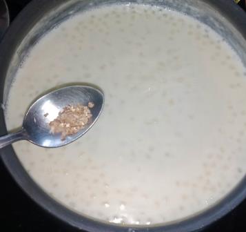 sabudana (sago) fruit custard